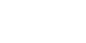 Logo Branco BLADETEAM 300x150